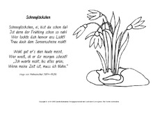 Schneeglöckchen-Hoffmannsthal-ausmalen.pdf